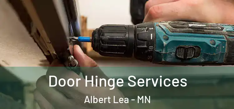 Door Hinge Services Albert Lea - MN