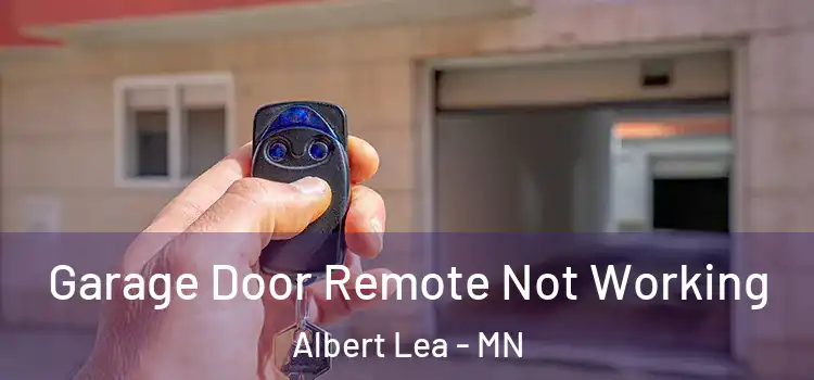  Garage Door Remote Not Working Albert Lea - MN