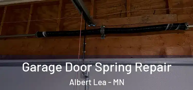  Garage Door Spring Repair Albert Lea - MN