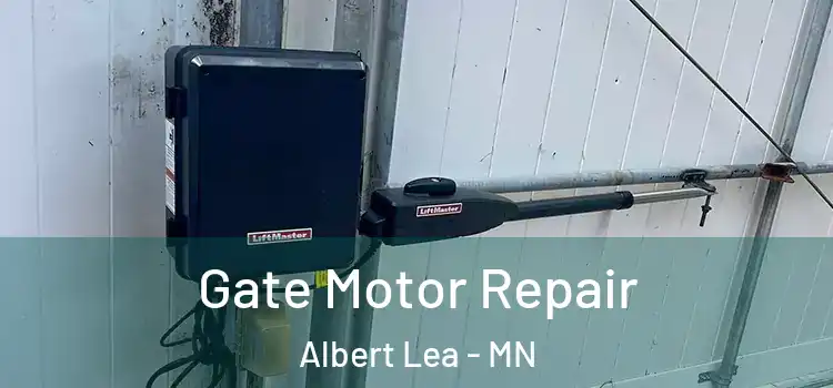 Gate Motor Repair Albert Lea - MN