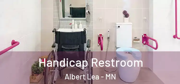  Handicap Restroom Albert Lea - MN