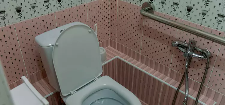 Meeting Diverse Needs With Accessible Restroom Solutions in Albert Lea, MN
