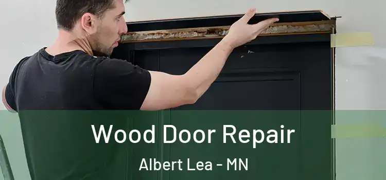 Wood Door Repair Albert Lea - MN